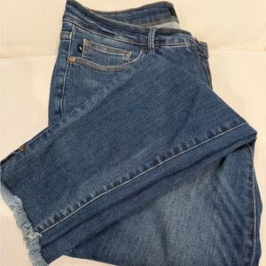 Judy Blue High Waist Tummy Control Jeans